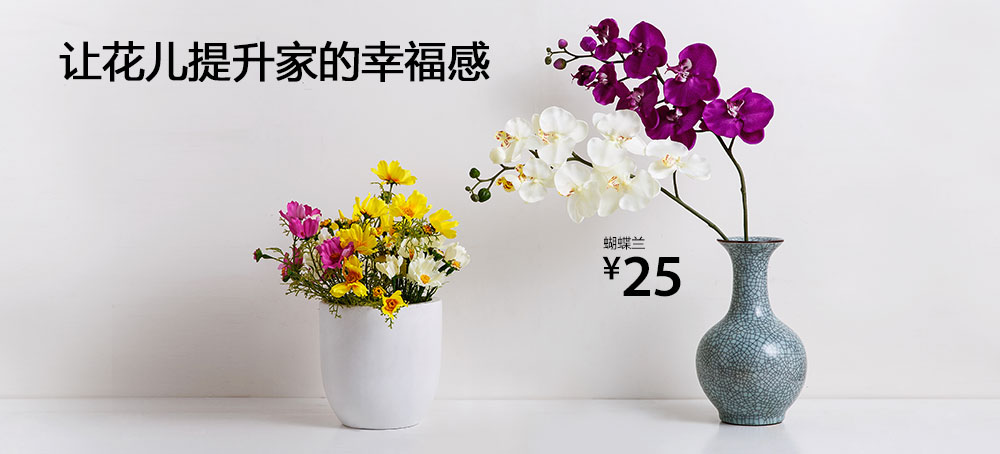 蝴蝶兰
